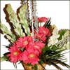 Cute Sentimental Touch - Click here to View more details about this Product